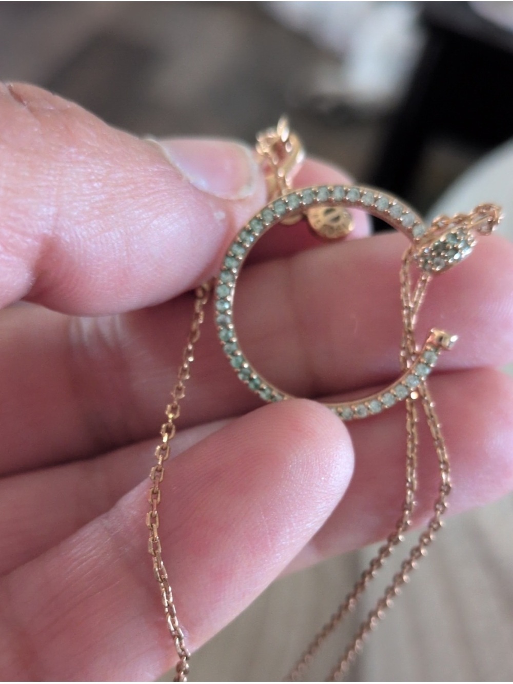 Henri Bendel Rose Gold Pavé Circle Slider Necklace - Picture 3 of 5